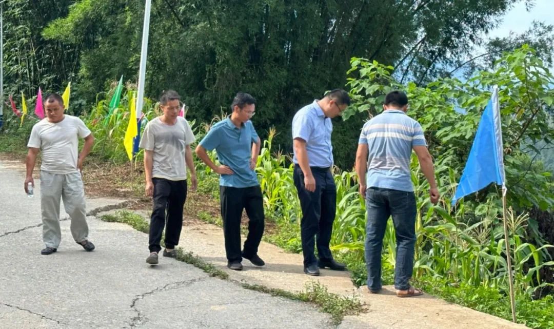 汪鄉調研1 汪鄉調研1